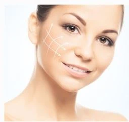 The usage Of Elastin Powder For Cosmetics