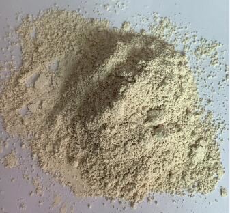 Lumbrokinase Powder