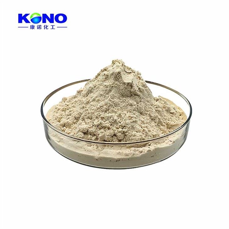 Lumbrokinase Powder