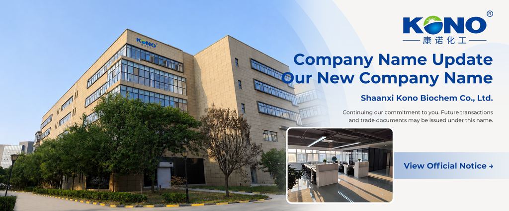 Company Name Update